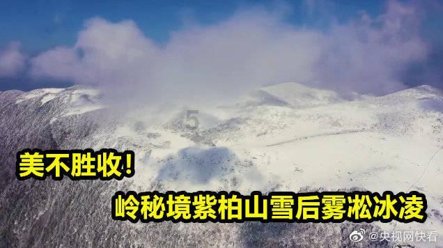 河谷冒险逃生
